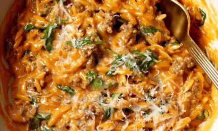 Creamy Tomato Sauce Ground Beef Orzo – A Delightful Weeknight Dinner